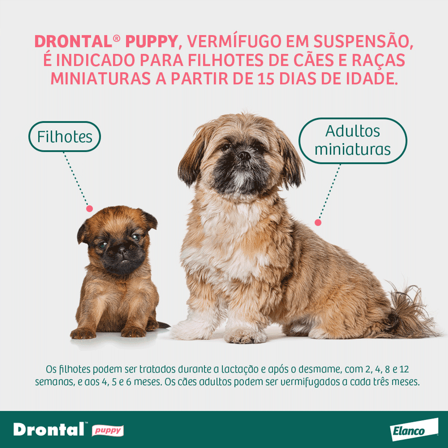 indicado para filhotes e cães de raças miniaturas a partir de 15 dias de idade