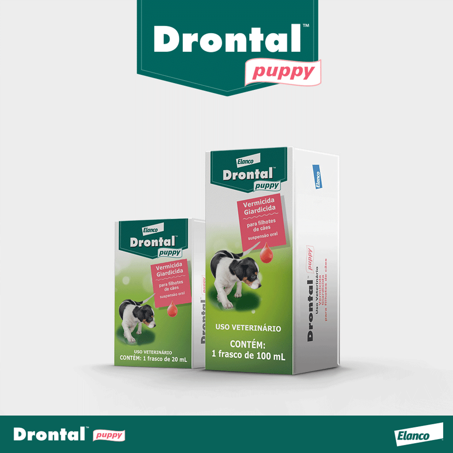 Vermífugo Drontal Puppy Suspensão  20ml e 100ml