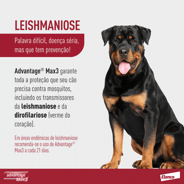 protege o seu pet contra Leishmaniose e Dirofilariose