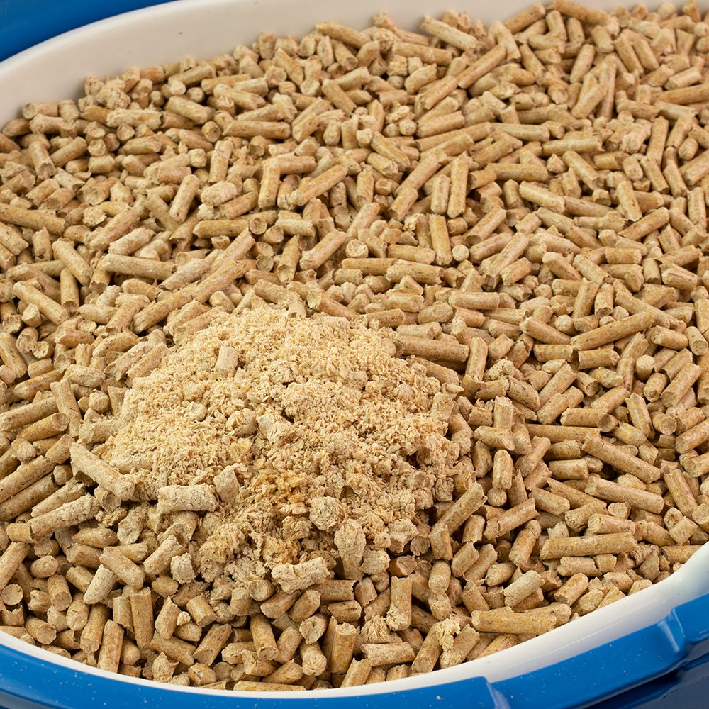 Granulado Higiênico Kets Madeira para Gatos