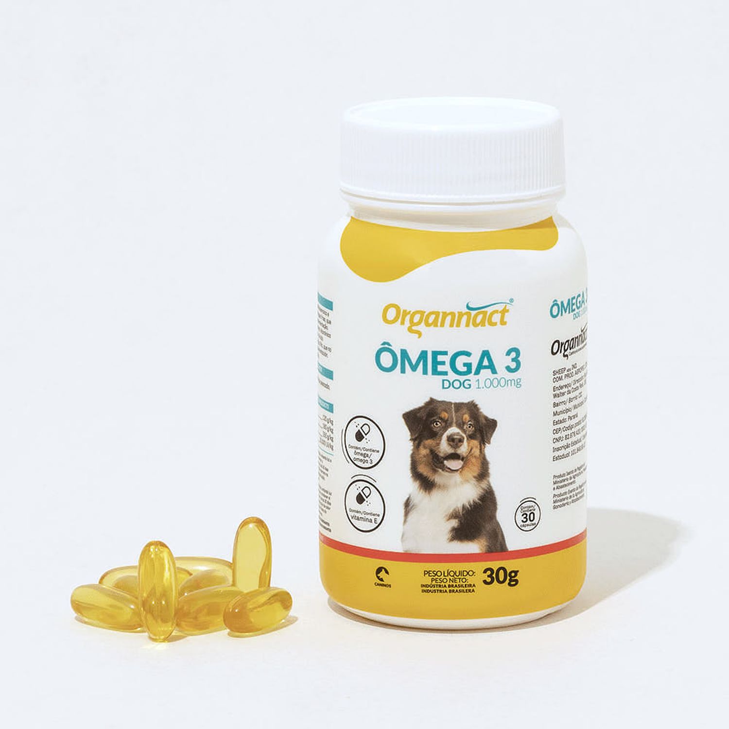Frasco e Capsulas do Ômega 3 Dog 1000 mg Organnact