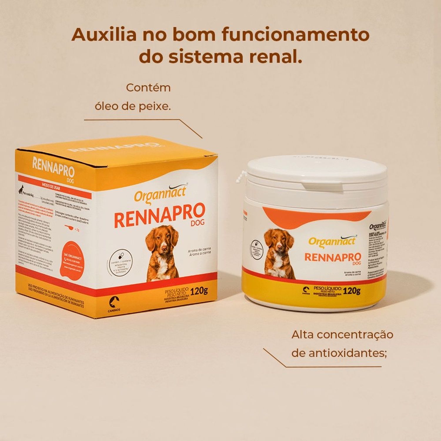 Rennapro Dog Organnact auxilia na saúde renal