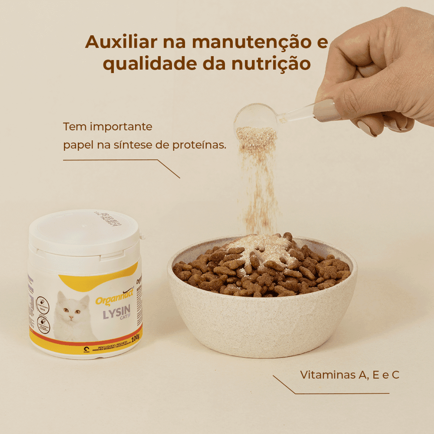 Organnact Gatos Lysin SF pó na ração