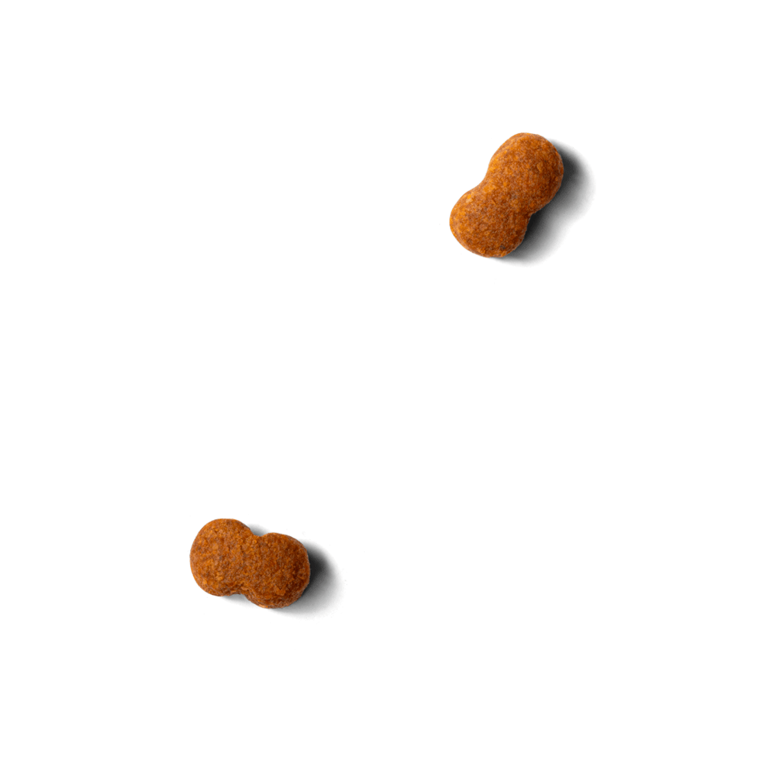 Grão da Ração Monello Select Cães Senior 7+ Raças Mini e Pequenas Longevidade