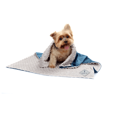 Cobertor-Bubble-Bichinho-Chic-Azul-pet-coberto-sentado