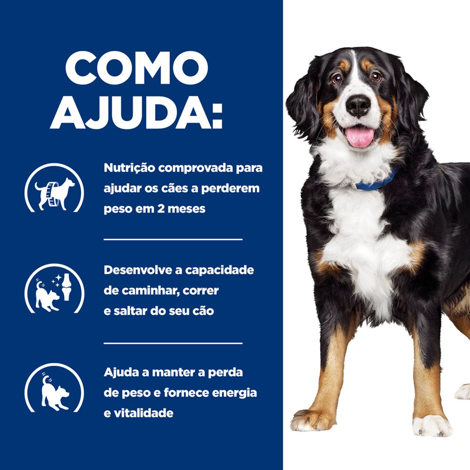 Como-Ajuda