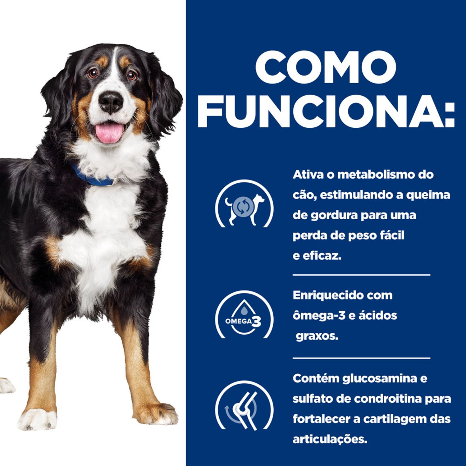 Como Funciona