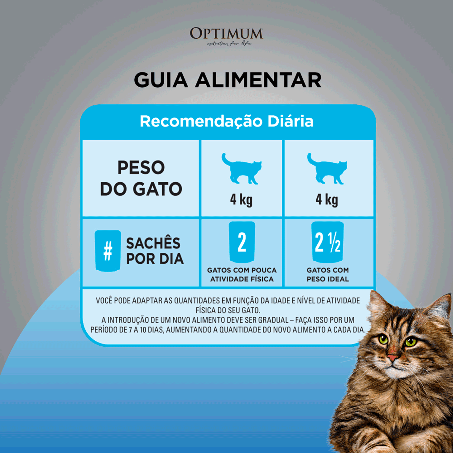Guia-Alimentar