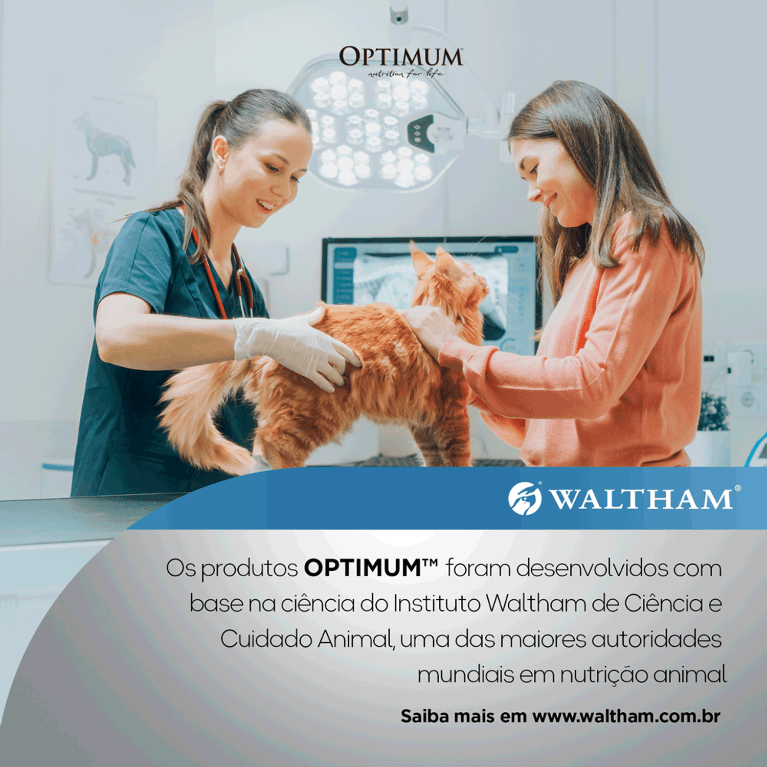 Whaltam