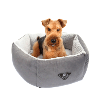 -Airedale-Terrier-usando-a--Cama-Hexa-Moscou-Bichinho-Chic-Cinza
