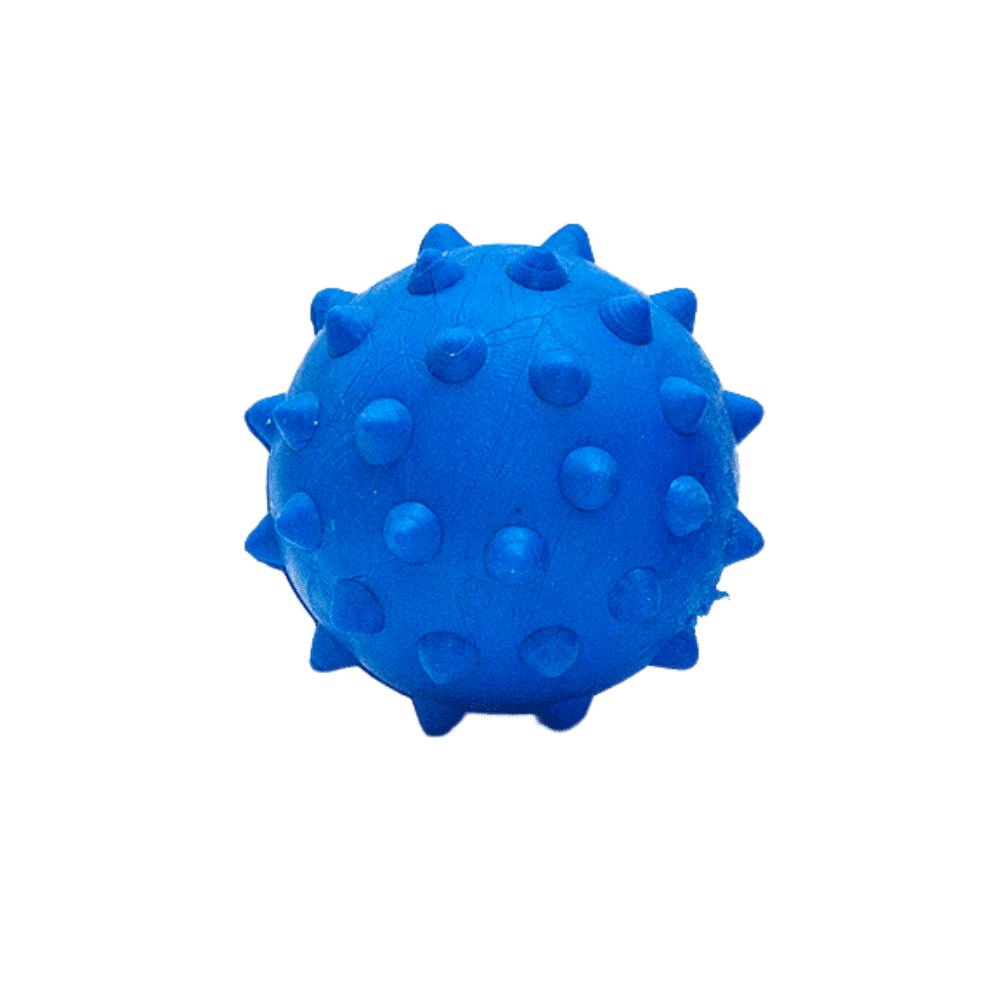 Bola Borracha Maciça Mini Cravo Tudo Pet Azul