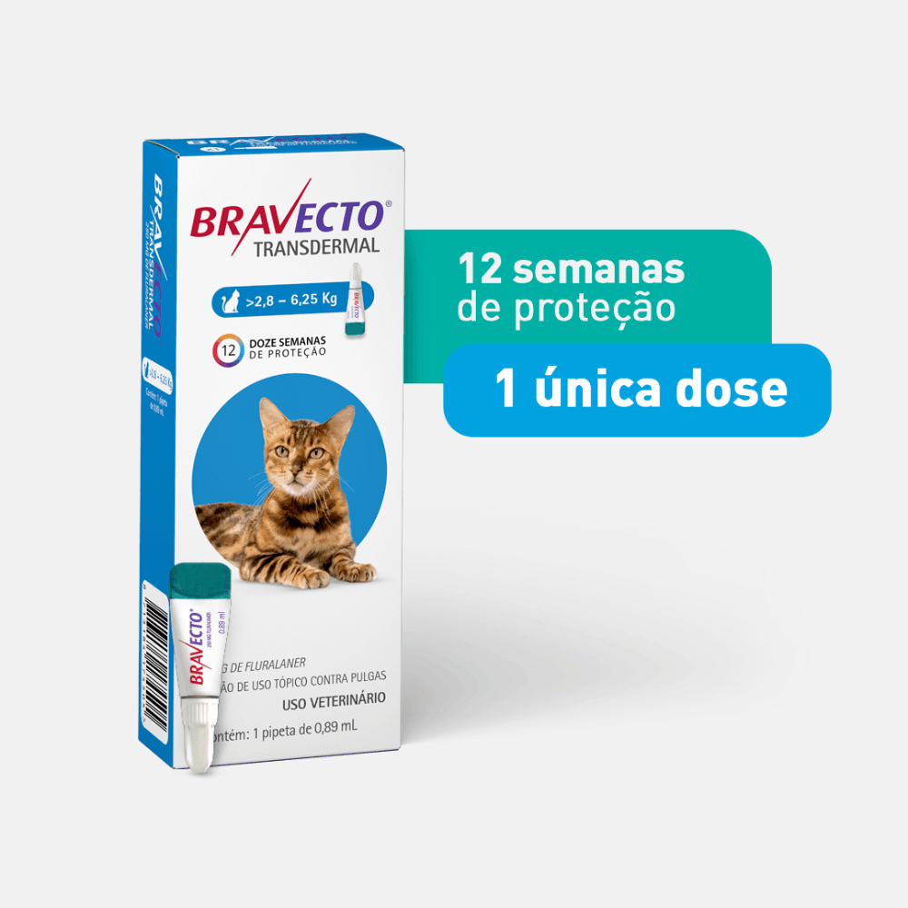 Antipulgas Bravecto Transdermal Gatos 2,8 a 6,25kg