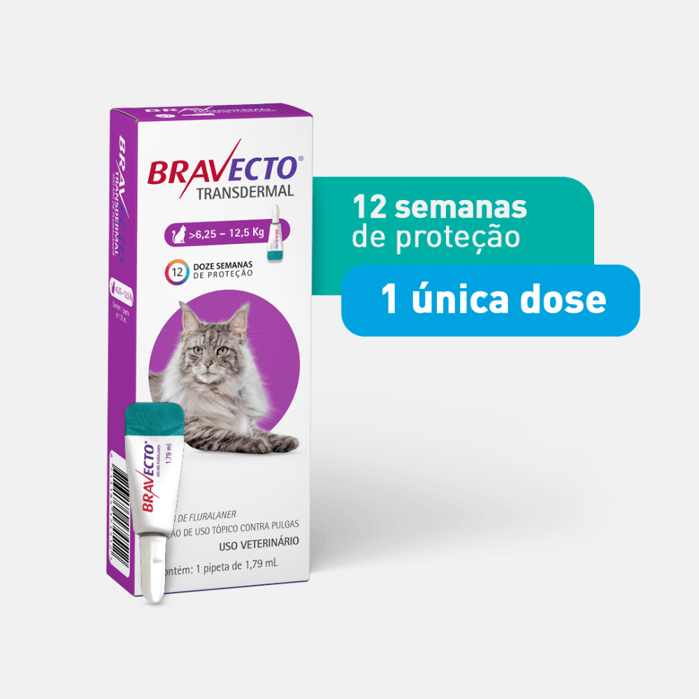 Antipulgas Bravecto Transdermal Gatos 6,25 a 12,5kg