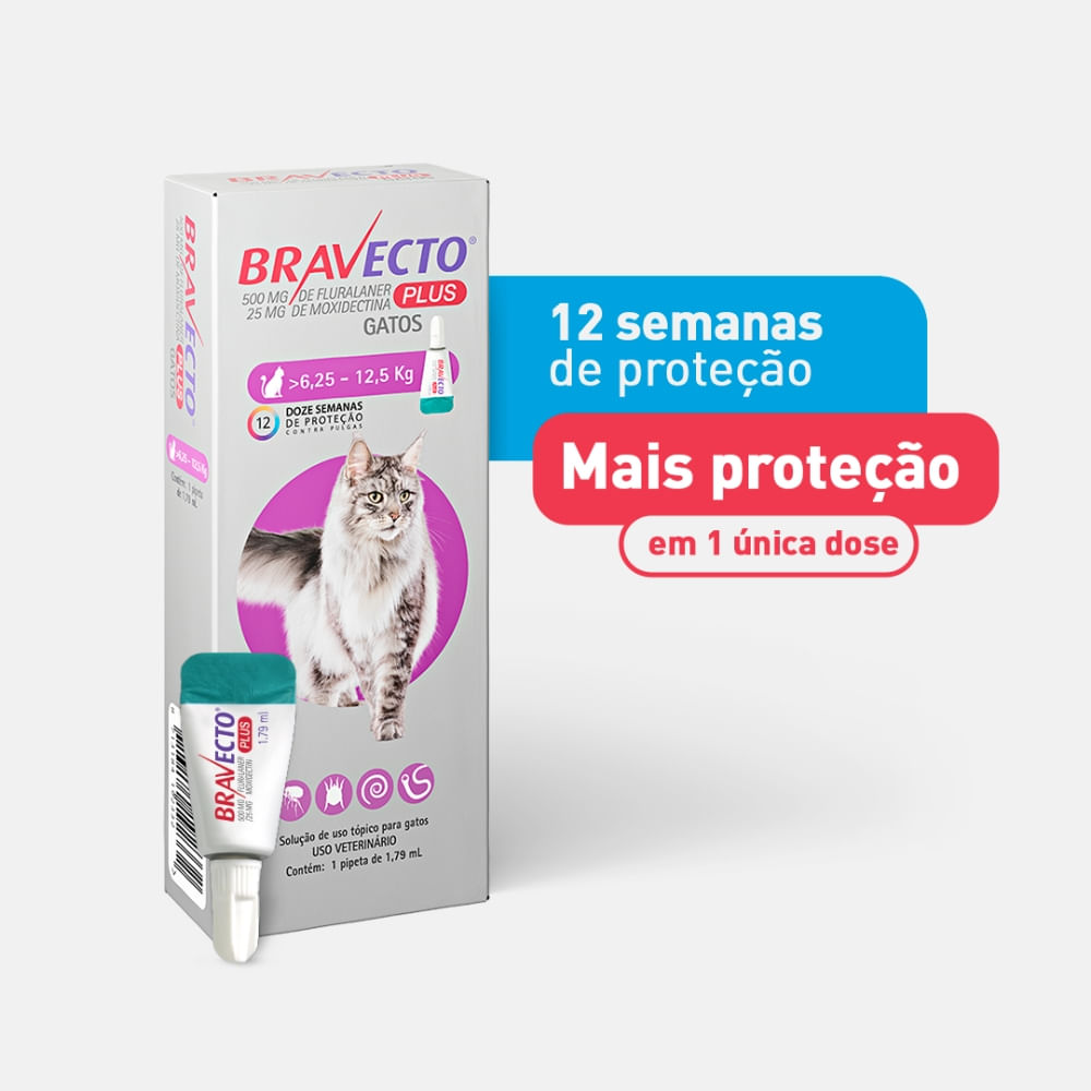 Antipulgas Bravecto Plus Gatos 6,25 a 12,5 kg