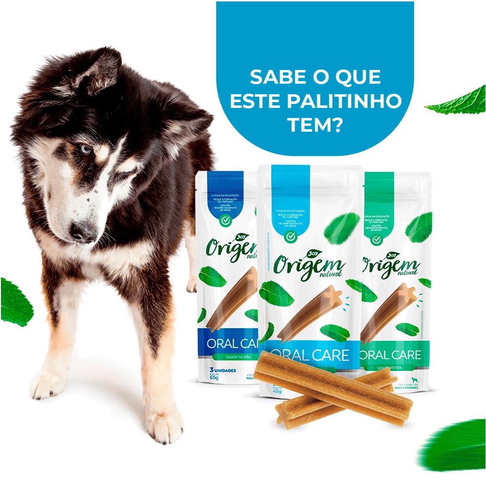 Petisco Stick Oral Care Menta Cães Raças Grandes Origem Natural