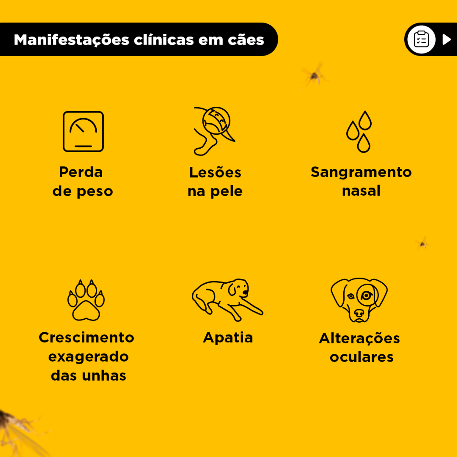 Manifestacoes-clinicas-em-caes