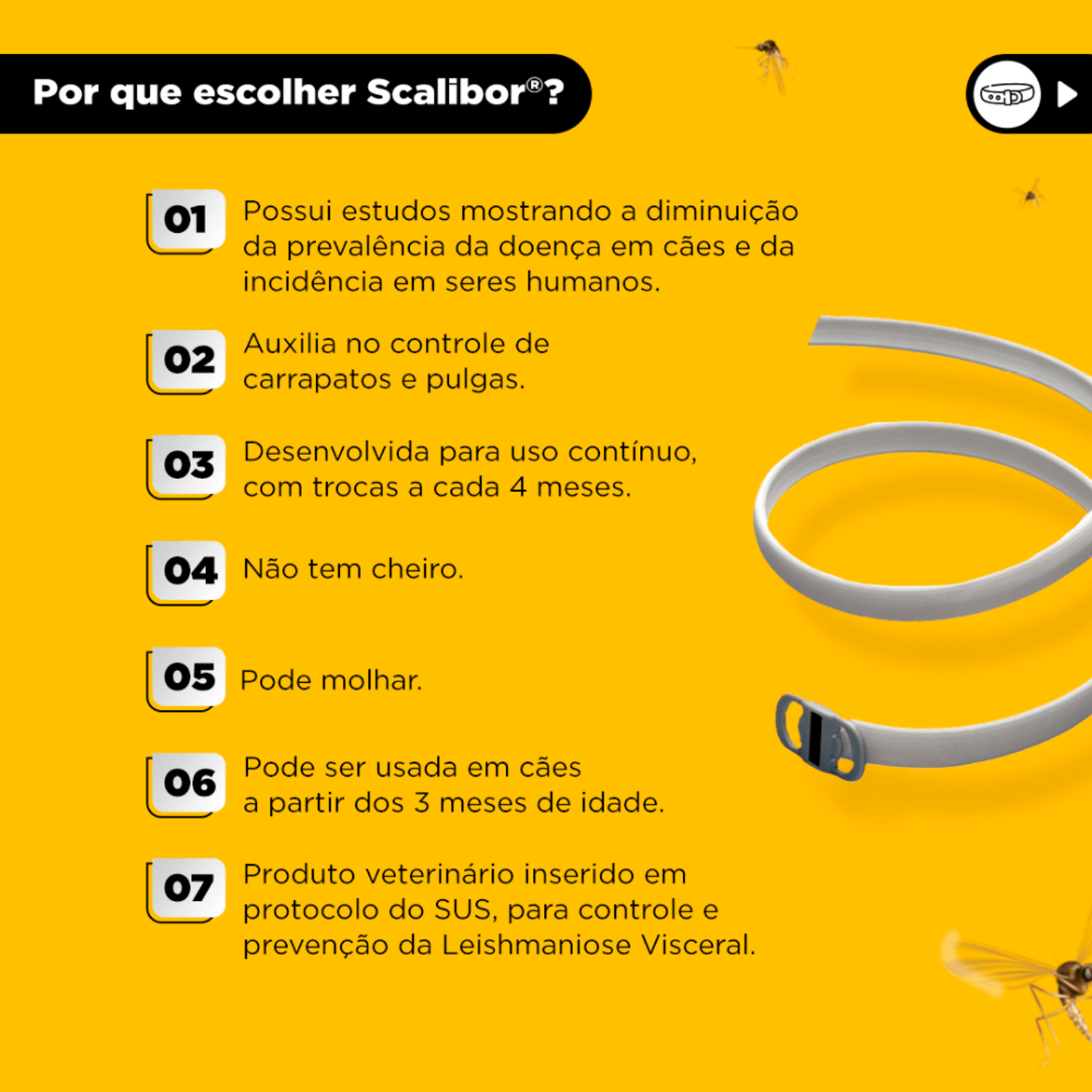 Beneficios-da-coleira-Scalibor