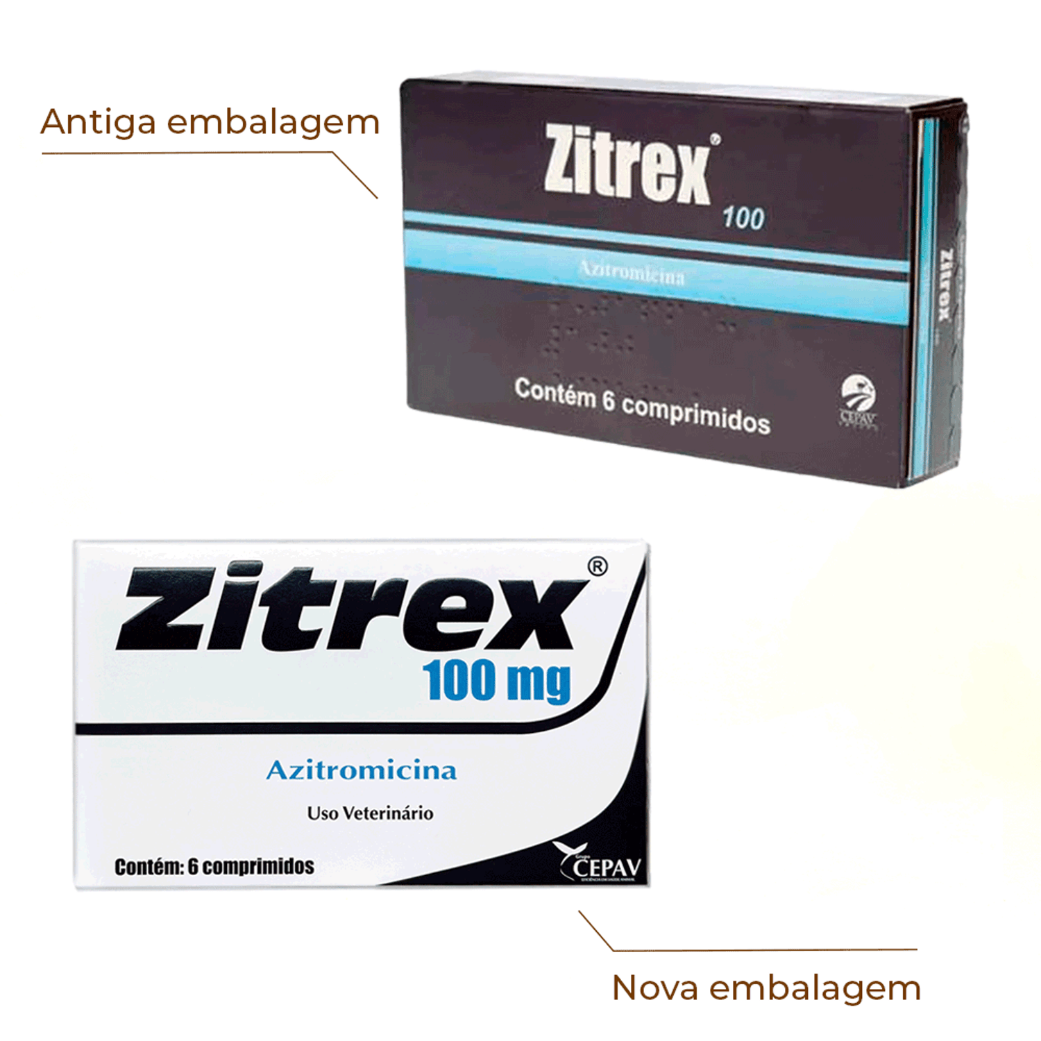 Zitrex 100mg com 6 nova embalagem