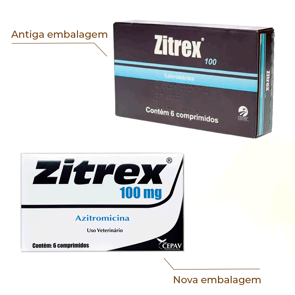 Zitrex 100mg com 6 comprimidos