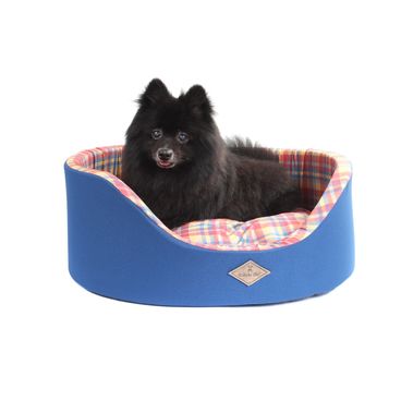 Cama-Europa-Xadrez-Azul-com-cachorro