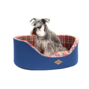 Cama-Europa-Xadrez-Azul-cachorro-sentado