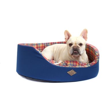 Cama-Europa-Xadrez-Azul-cachorro-deitado-1