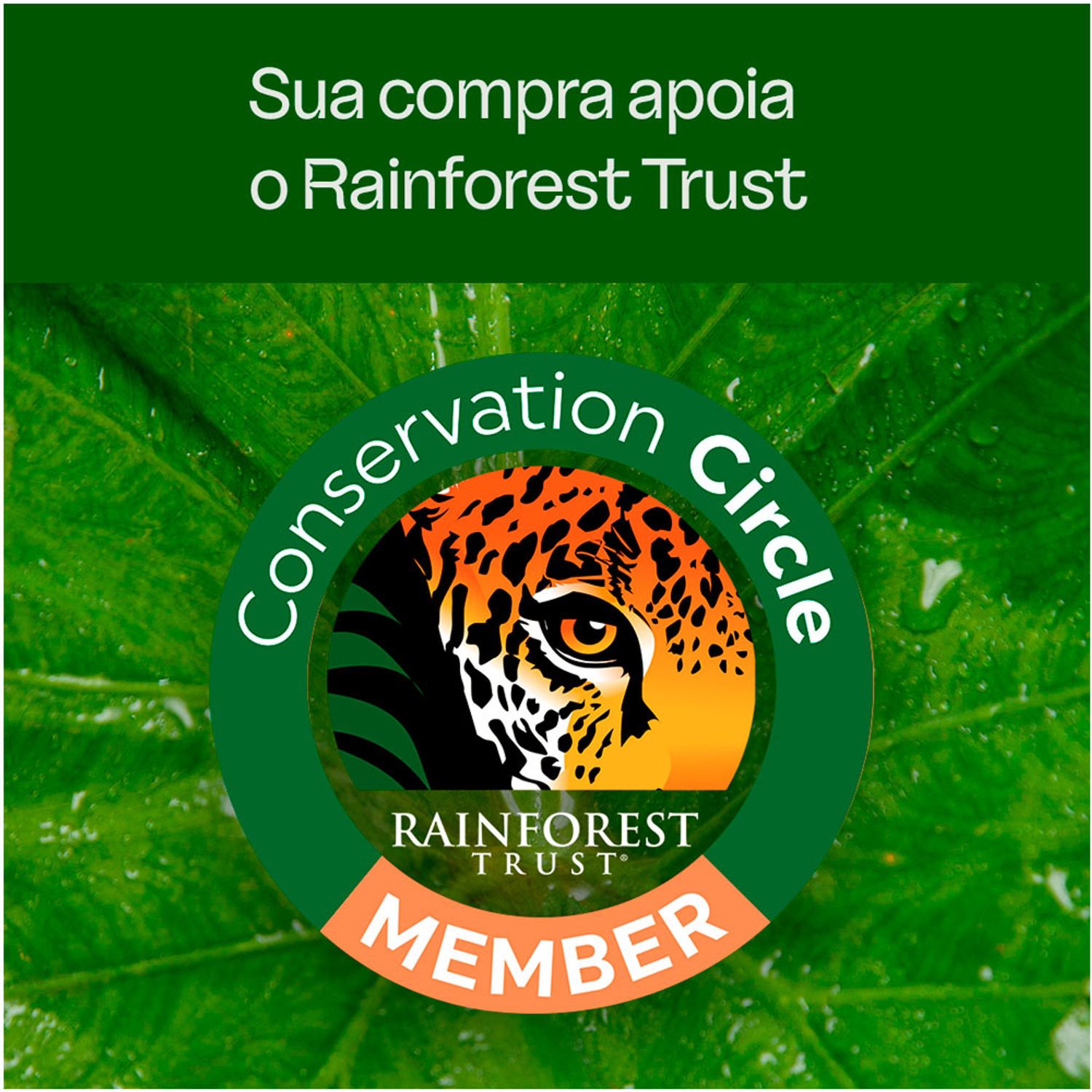 Areia Higiênica Biodegradável Grãos Mistos Viva Verde reserva