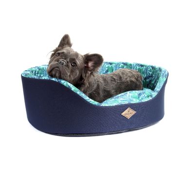 Cama-Europa-Folhagem-Azul-cachorro-deitado