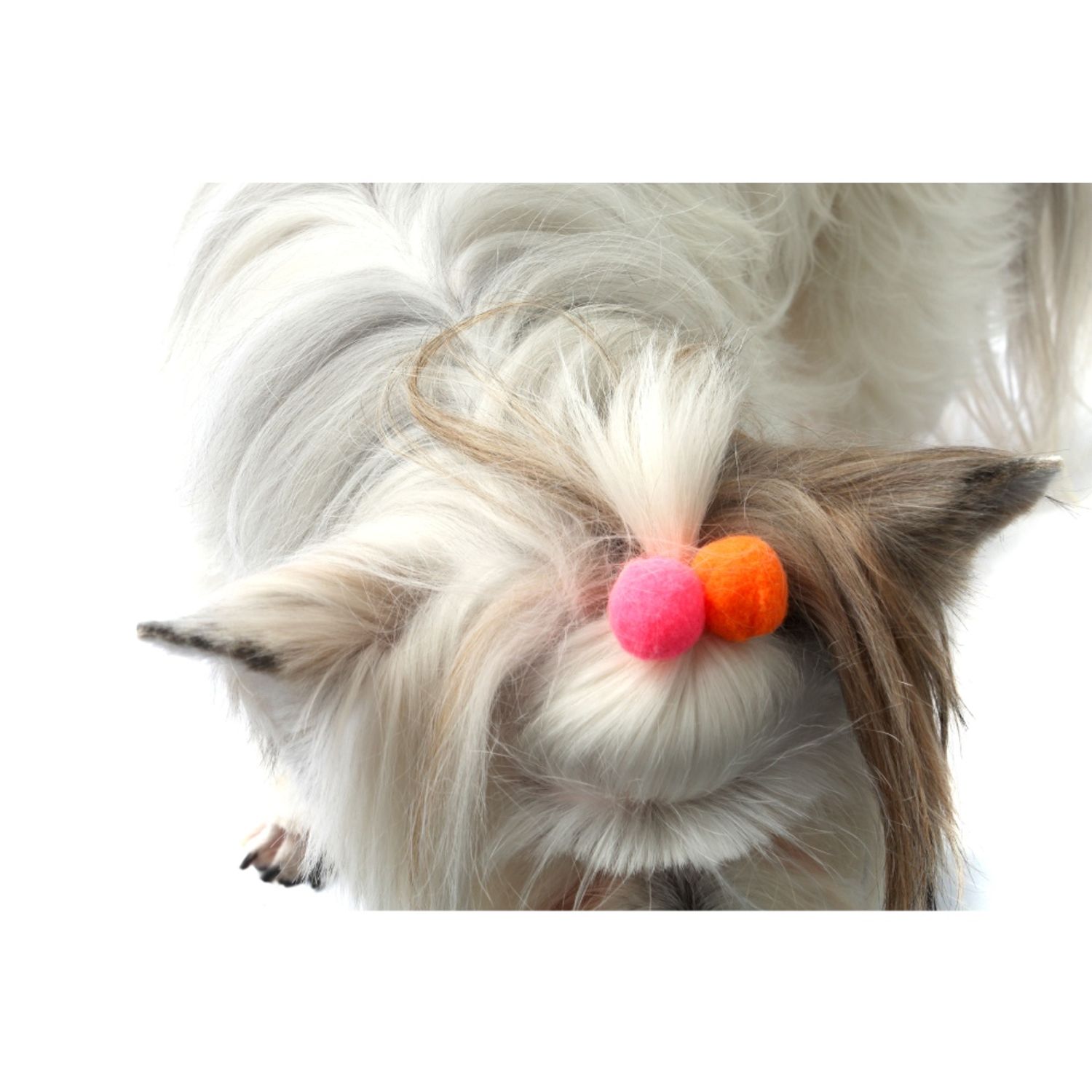 Enfeite Pom Pom para franja cachorro