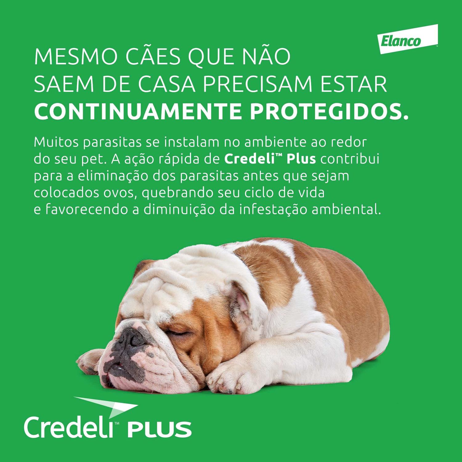 Rápida ação na eliminação dos parasitas