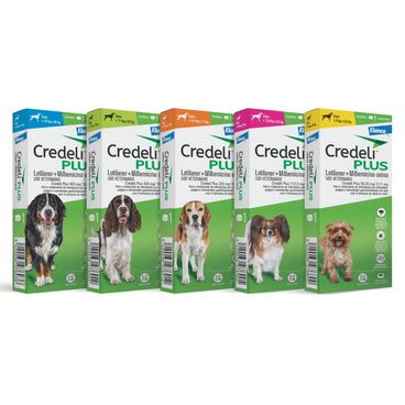 Credeli plus todas as versões