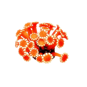 Enfeite de Silicone Soma Coral Alveopora Vermelha