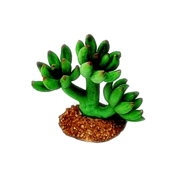 Enfeite de Silicone Soma Planta Cactus Único