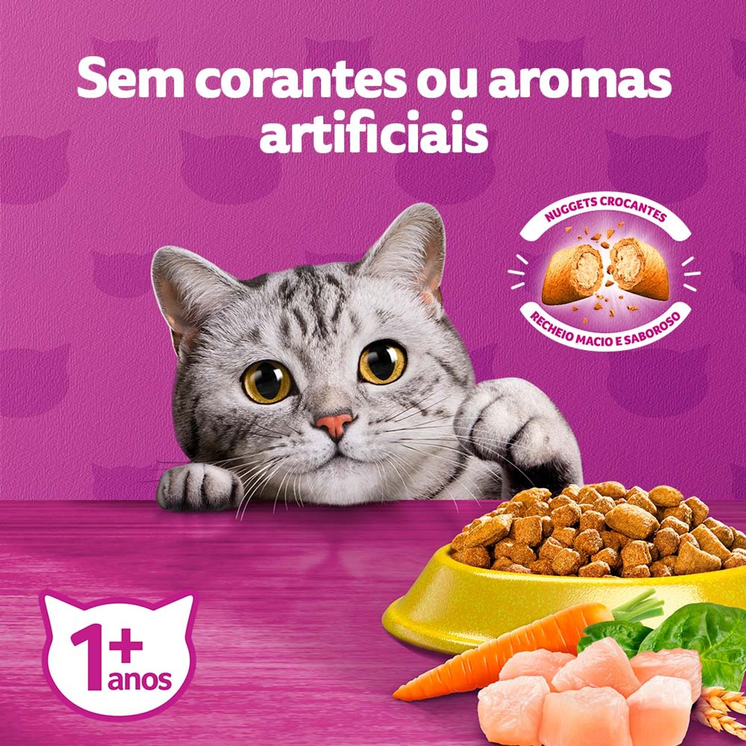 Sem Corantes e Aromatizantes Artificiais
