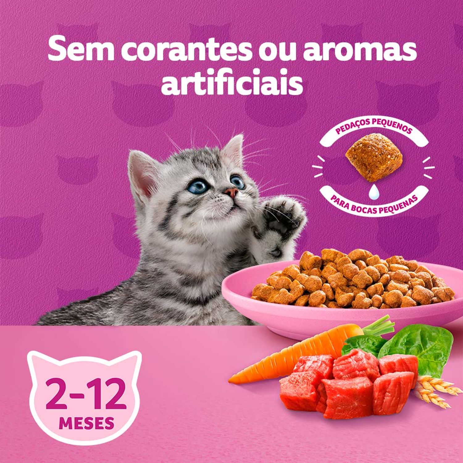 Sem Corantes e Aromatizantes Artificiais