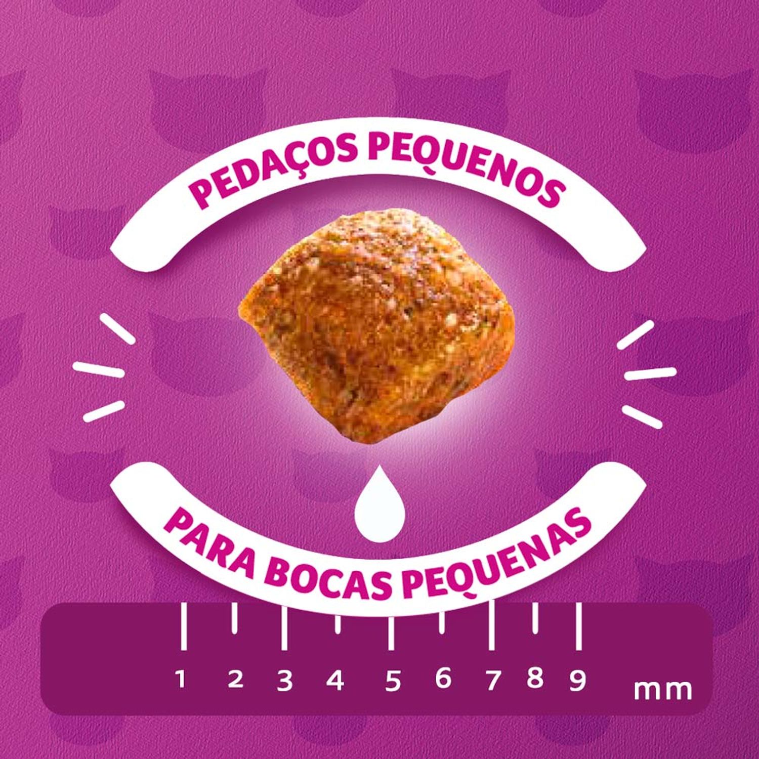 Pedaços Pequenos