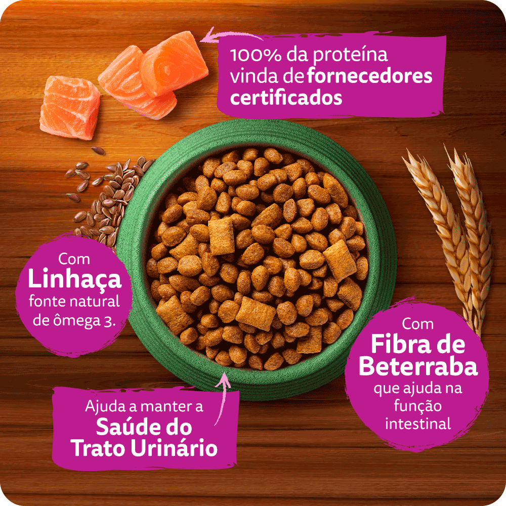 Ração Whiskas Gatos Adultos Melhor Por Natureza Salmão