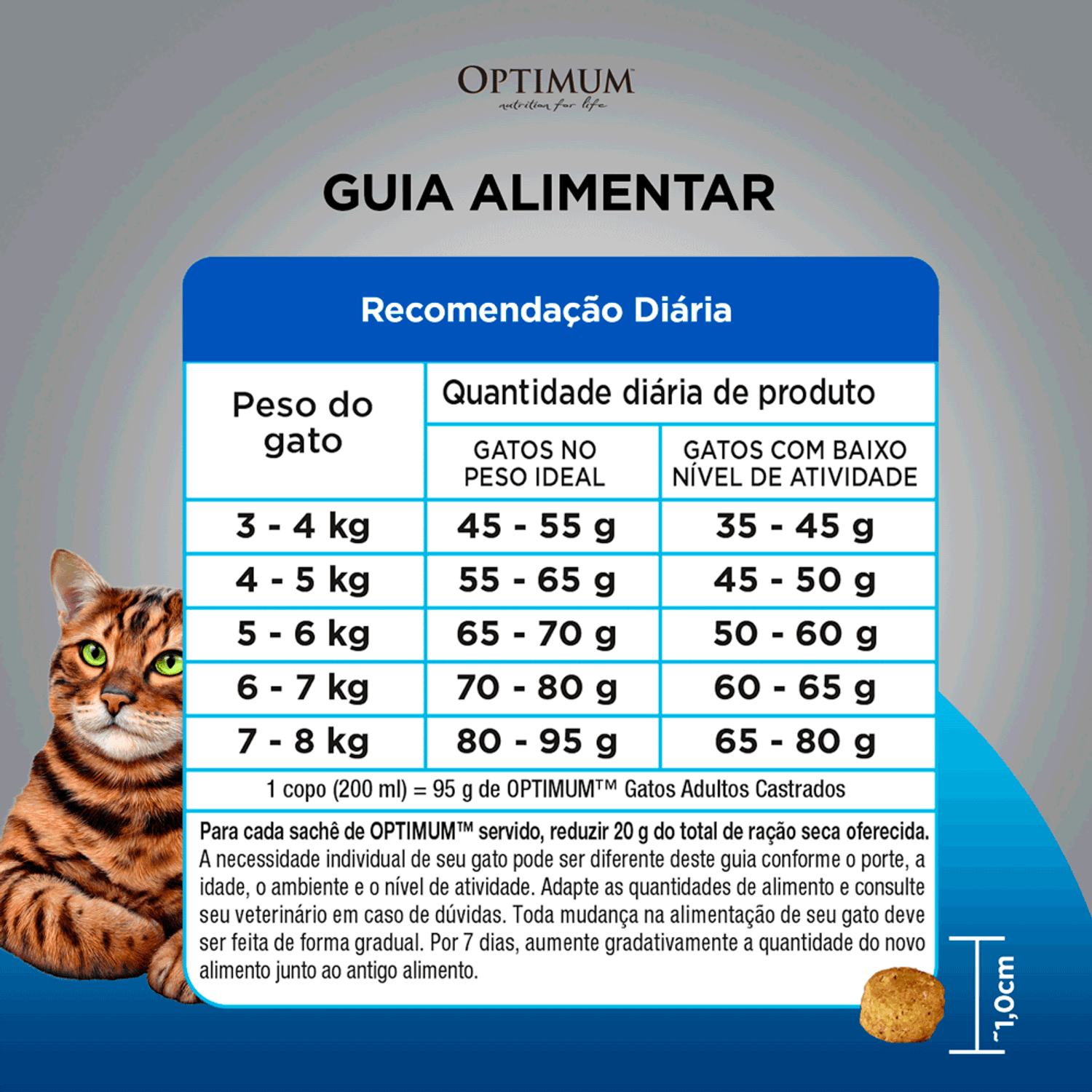Guia Alimentar