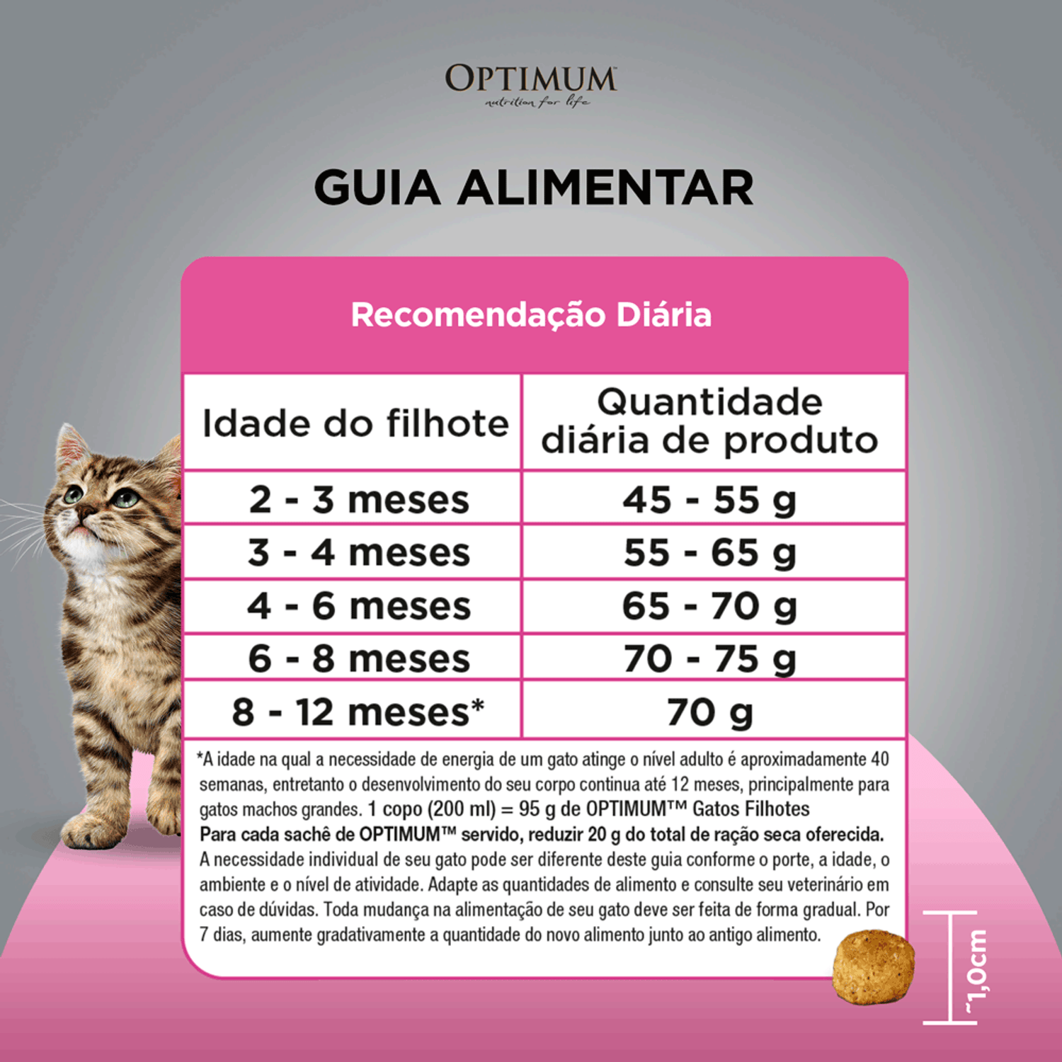 Guia Alimentar