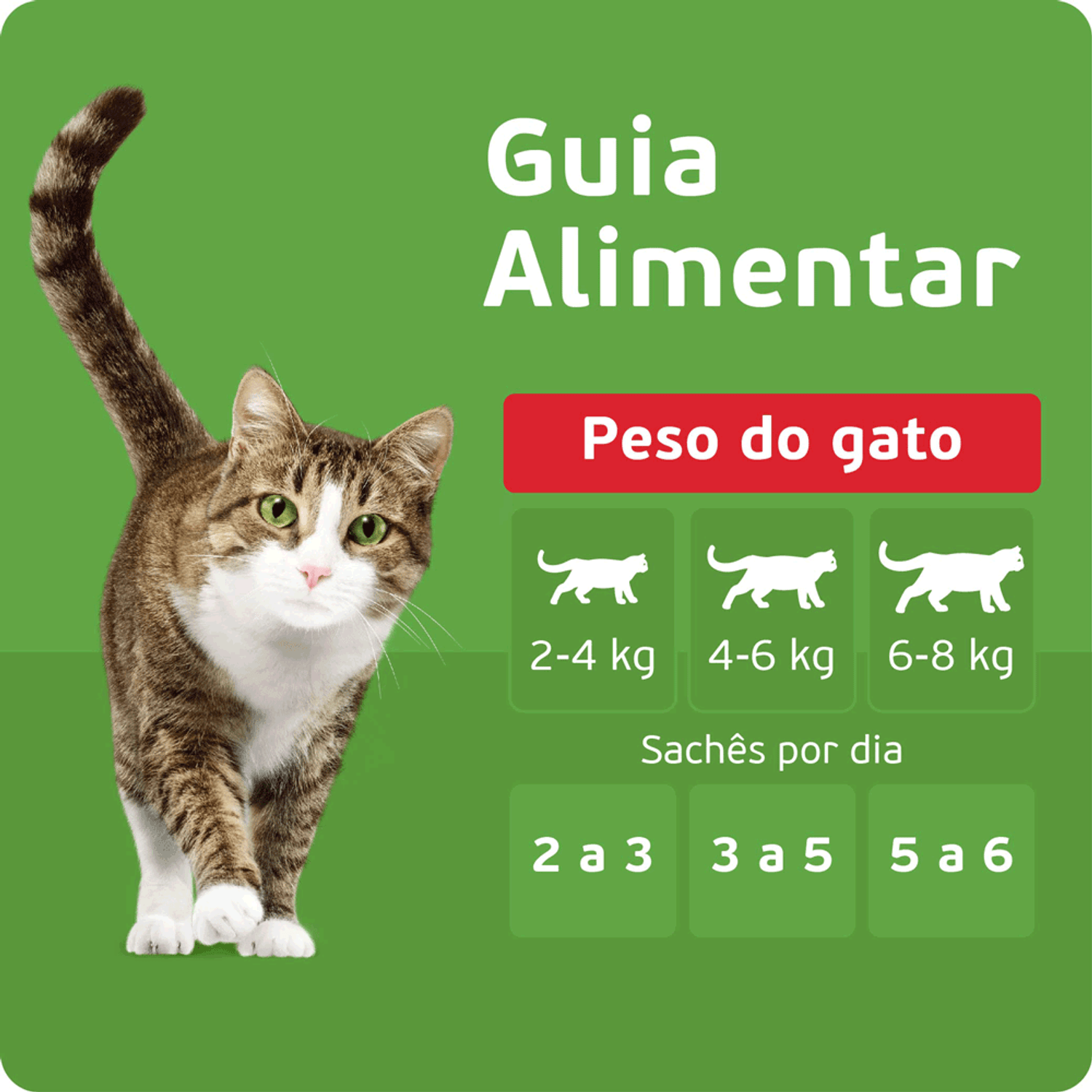Guia Alimentar