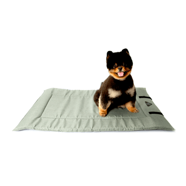 Colchonete-para-Viagem-Bichinho-Chic-Verde-pet-sentado-2