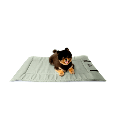 Colchonete-para-Viagem-Bichinho-Chic-Verde--pet-deitado-2