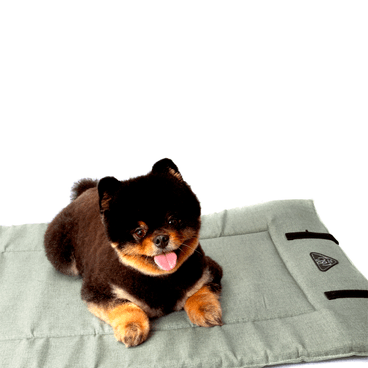 Colchonete-para-Viagem-Bichinho-Chic-Verde-pet-deitado-3