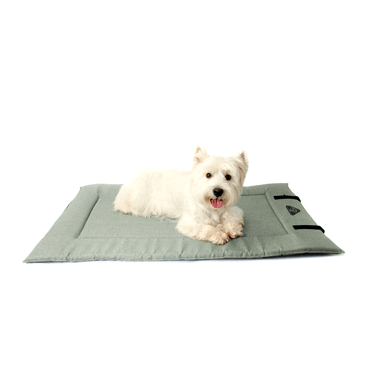 Colchonete-para-Viagem-Bichinho-Chic-Verde-pet-deitado-4
