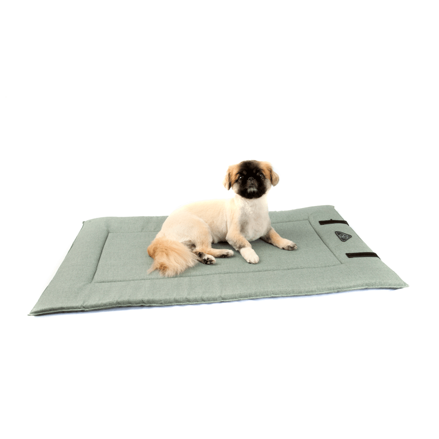 Colchonete-para-Viagem-Bichinho-Chic-Verde-pet-sentado-3