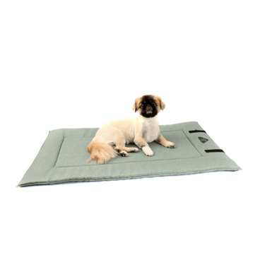 Colchonete-para-Viagem-Bichinho-Chic-Verde-pet-sentado-3