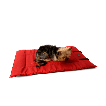 Colchonete-para-Viagem-Bichinho-Chic-Vermelho-pet-deitado-3