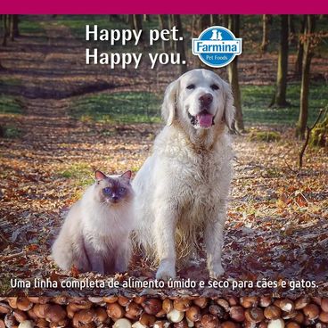 Racao-N-D-Quinoa-Caes-Adultos-Weight-Cordeiro-Alimento-para-caes-e-gatos