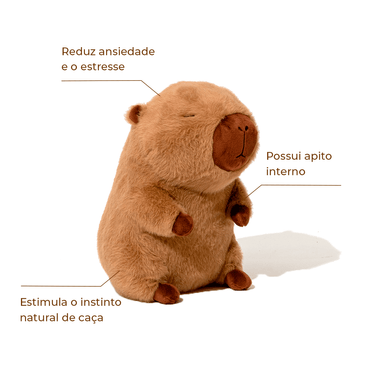 Imagem do Produto
