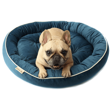 Cama-Austria-Bichinho-Chic-Azul-com-cachorro-deitado